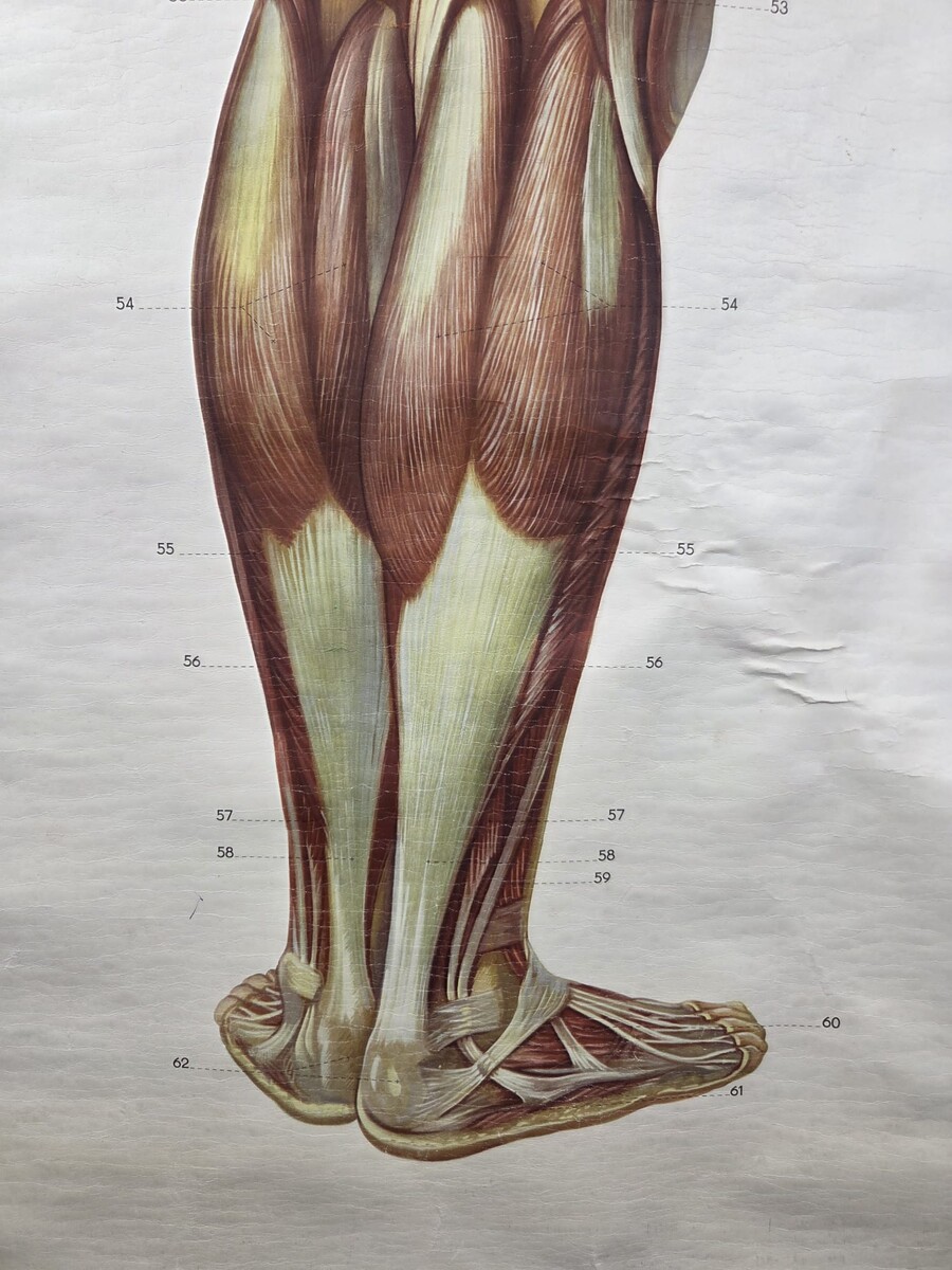 2 Vintage educational plates titled 