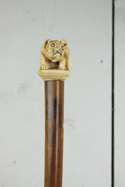 Cannes, ivory pommel