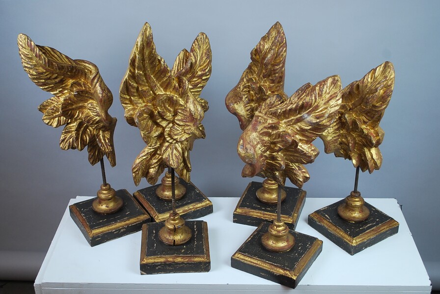 Decorative wings in patinated and gilded wood, 20th