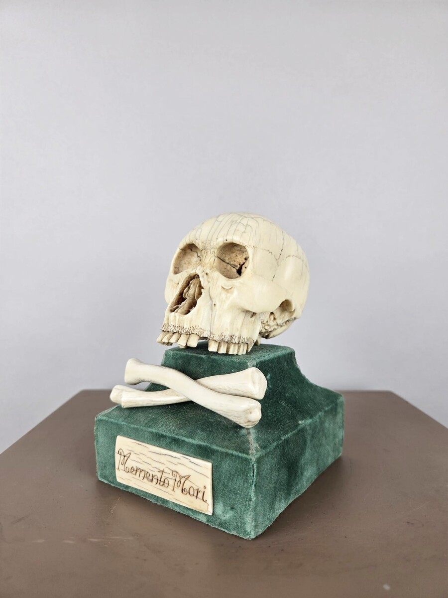 Ivory skull, Memento Mori, circa 17th 