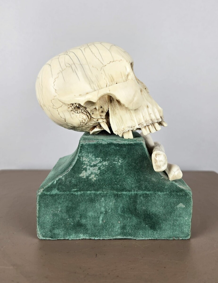 Ivory skull, Memento Mori, circa 17th 