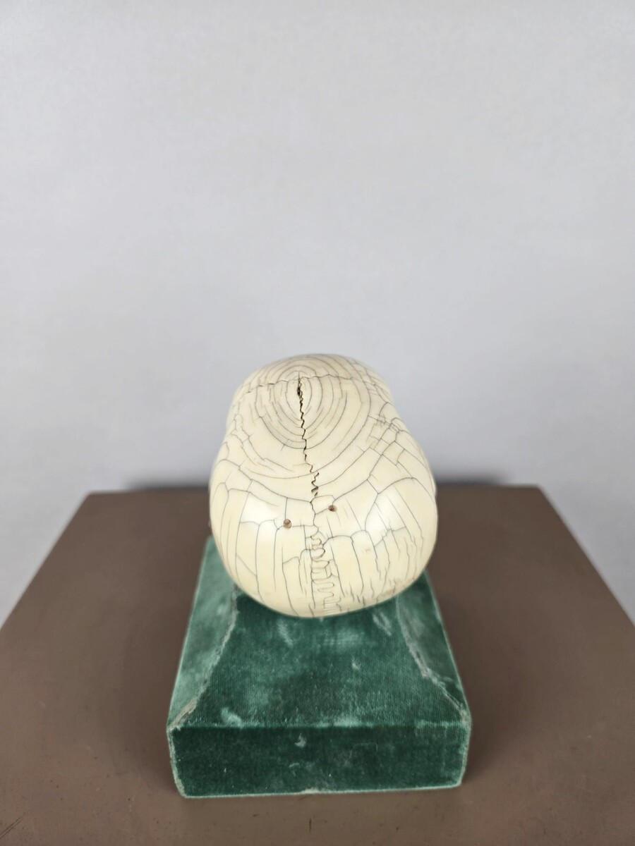 Ivory skull, Memento Mori, circa 17th 