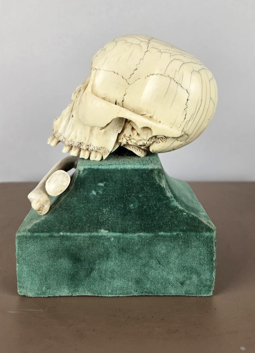Ivory skull, Memento Mori, circa 17th 