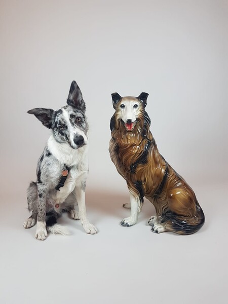 Lassie, polychrome earthenware dog, Italy around 1970