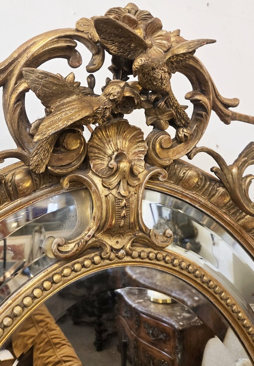 Louis XIV style medallion mirror in wood and gilded stucco, 19th