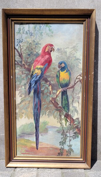 Oil on canvas representing 2 parrots - signed N. André
