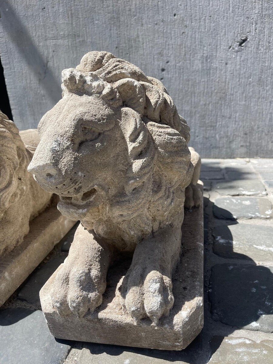 Pair of carved soft stone lions, 20th century