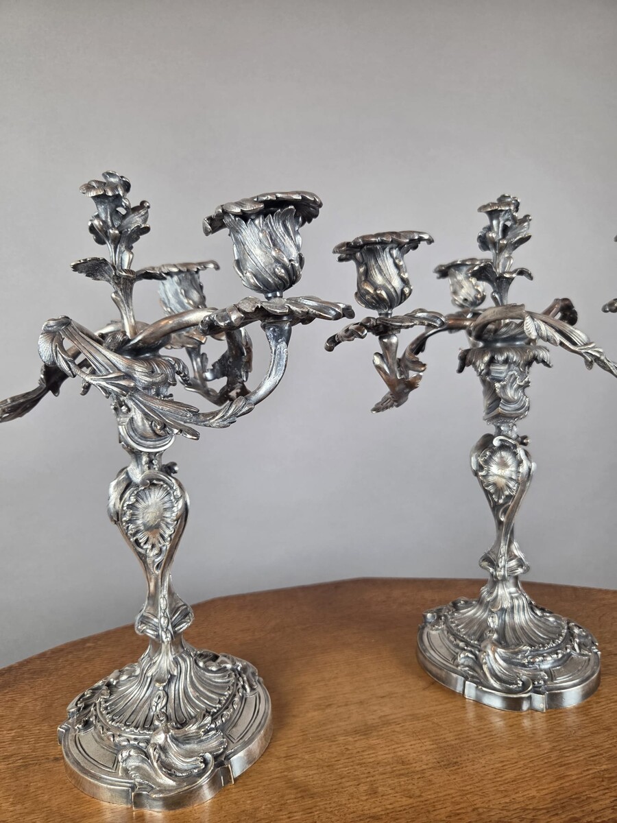 Pair of Louis XV-style candelabra in silver-plated bronze