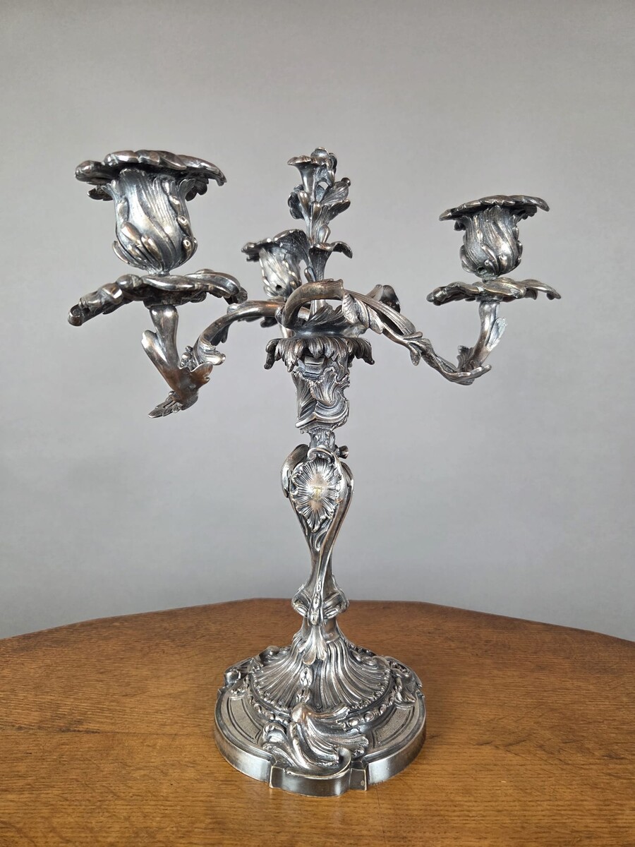 Pair of Louis XV-style candelabra in silver-plated bronze