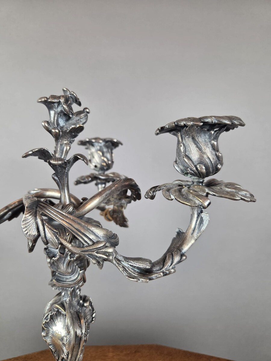 Pair of Louis XV-style candelabra in silver-plated bronze
