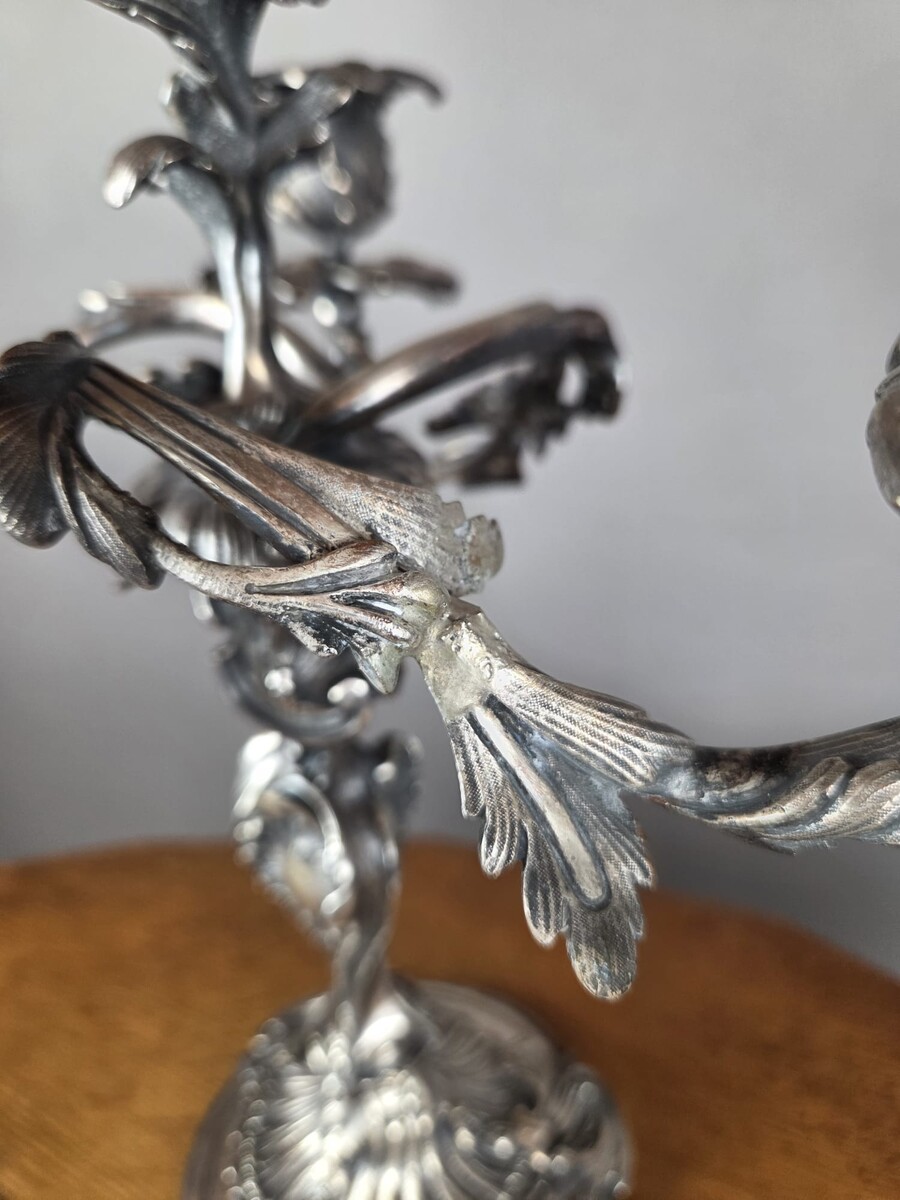 Pair of Louis XV-style candelabra in silver-plated bronze