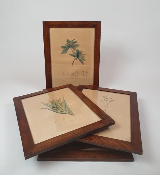 Set of 7 enhanced engravings - 19th century