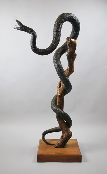 Snake Sculpture, black patina metal, 20th.c, sign