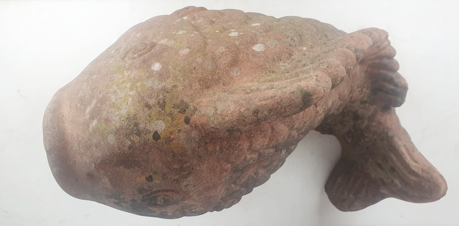 Terracotta fish, circa 1970