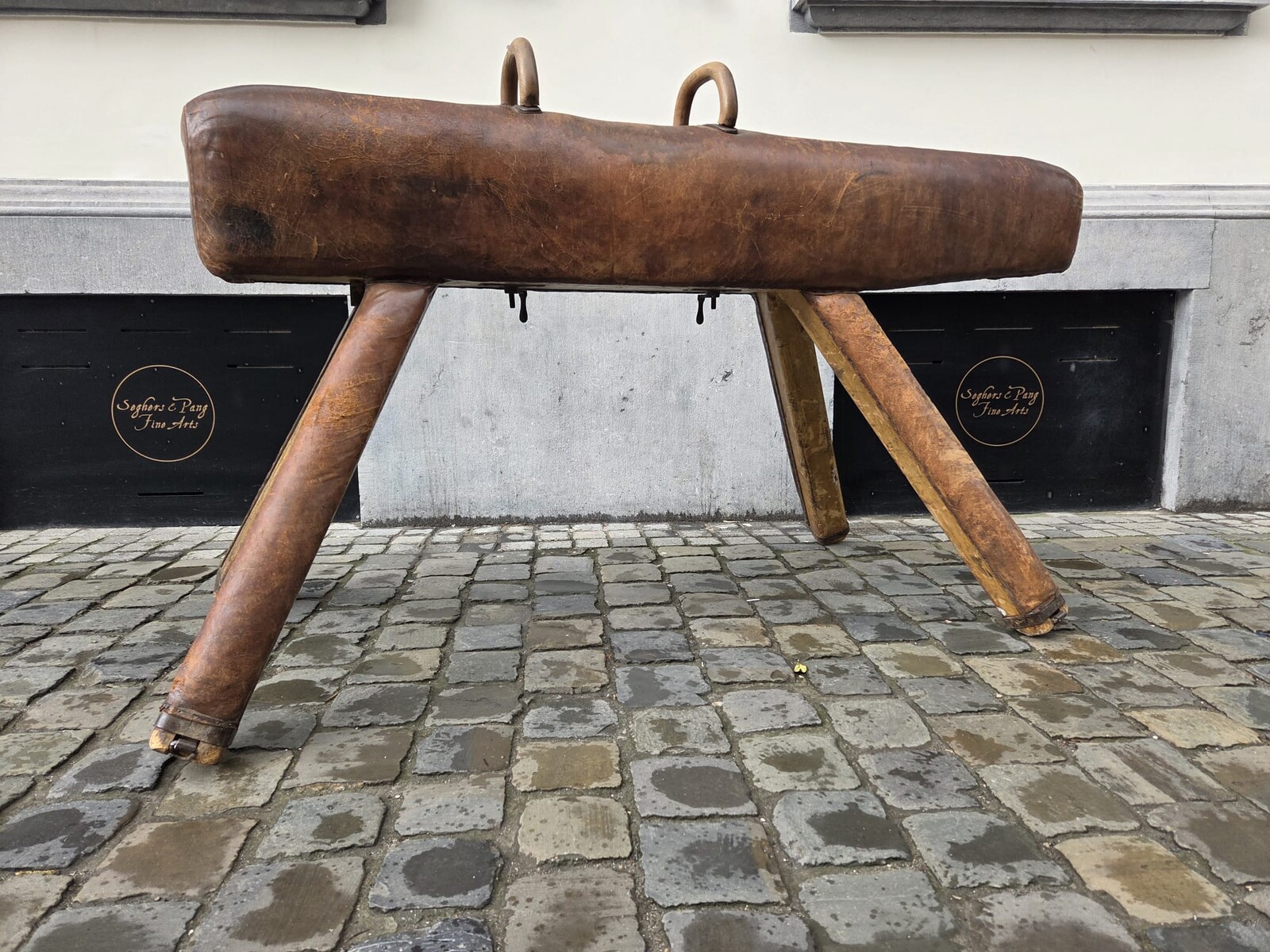 Vintage leather pommel horse