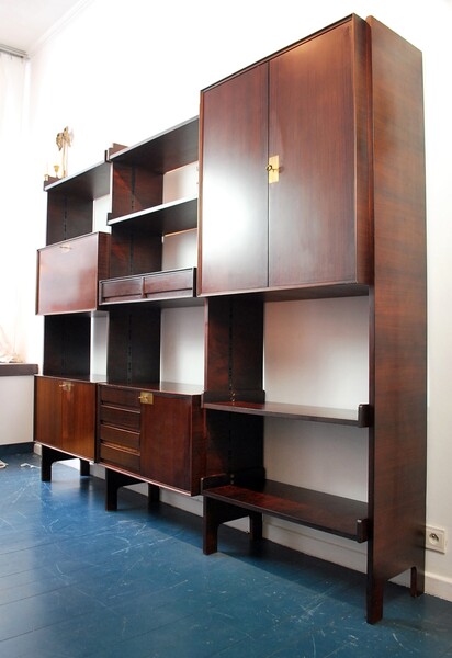 Wall Unit in rosewood by Vittorio Dassi