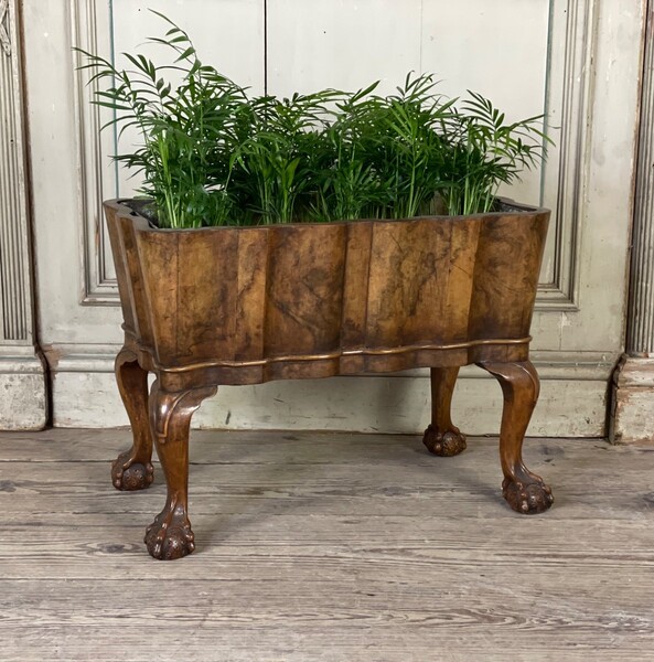 Walnut Planter, England Circa 1880